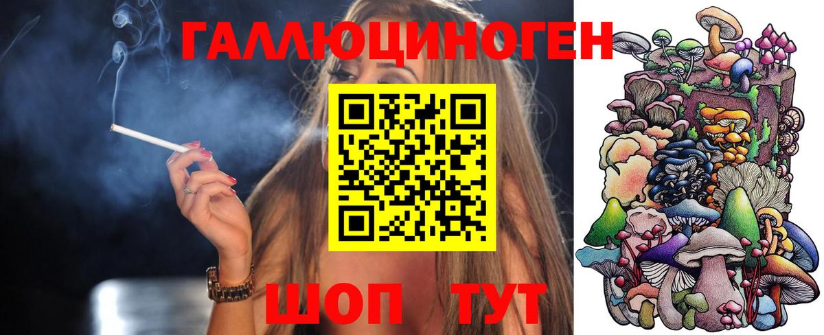 наркота  Псилоцибиновые грибы Magic Shrooms  Вход с VPN  Сунжа 